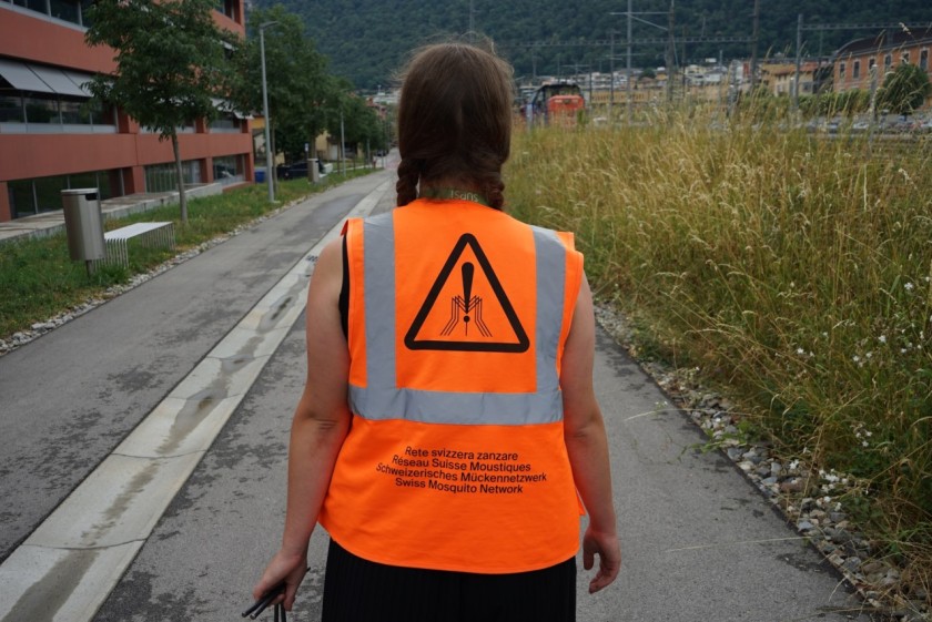 L’Istituto Microbiologia della SUPSI esegue una costante serie di controlli sulle zanzare e su altri insetti che possono veicolare malattie (foto di Eugenio Celesti)